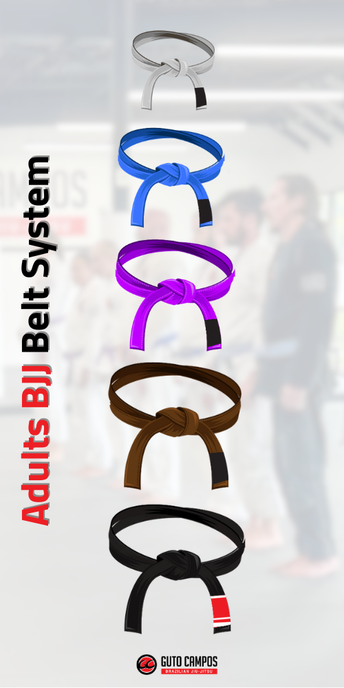 Adults BJJ Belt System