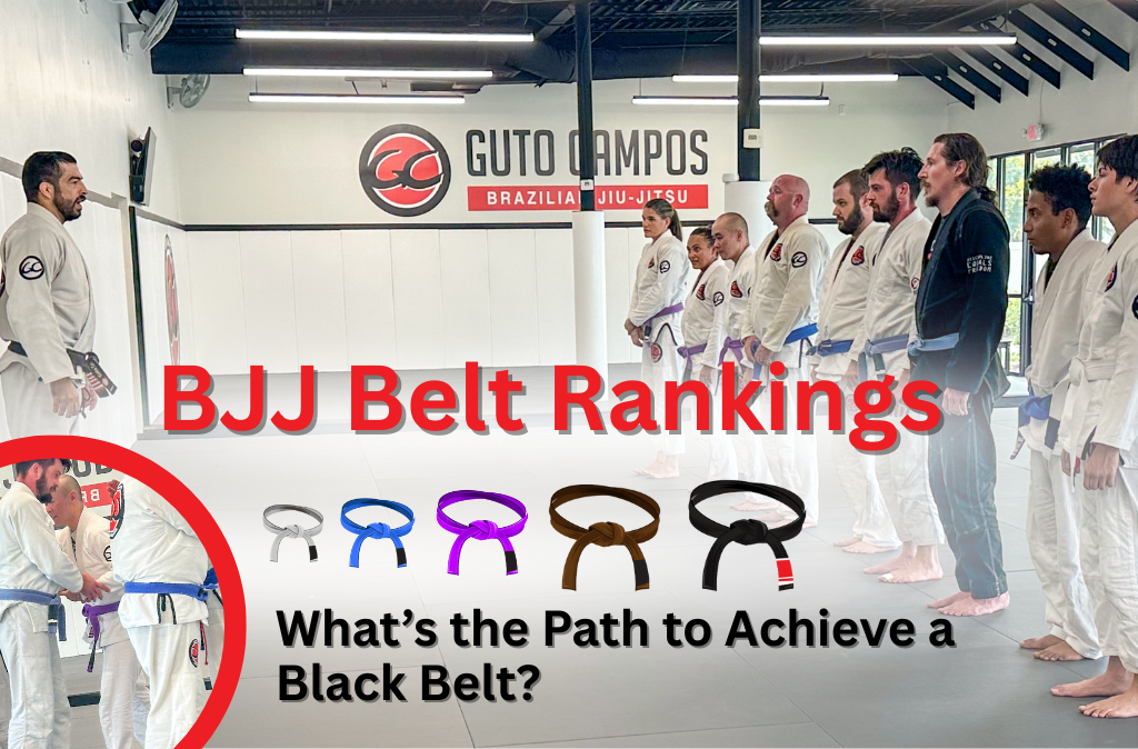 BJJ Belt Rankings